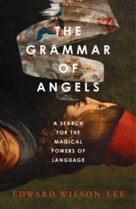 Book cover image of The Grammar of Angels by Edward Wilson-Lee